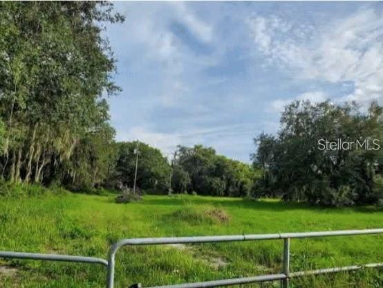 10510 SUMNER ROAD, WIMAUMA, FL — photo 2 of 2
