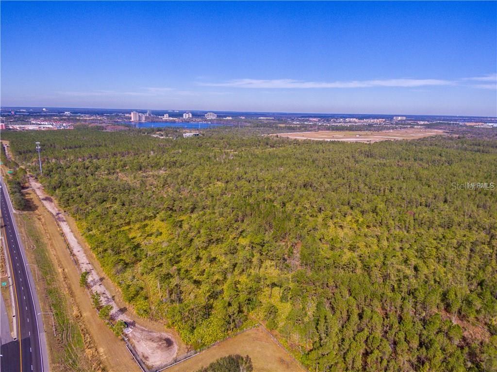An aerial view shows a large, undeveloped wooded lot adjacent to a paved road — INTERNATIONAL DRIVE, ORLANDO, FL