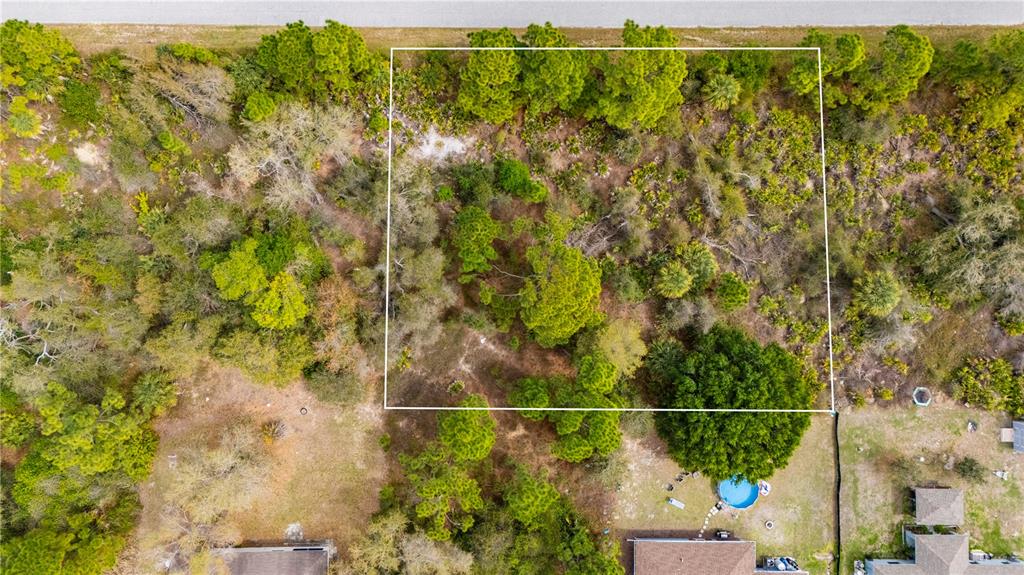 An aerial view shows a rectangular plot of land outlined in white amidst wooded terrain — PAIGO LANE, NORTH PORT, FL