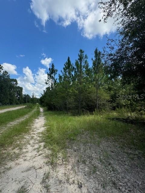 A dirt road leads toward a wooded area under a blue sky with scattered clouds — SW COLES COURT, FORT WHITE, FL