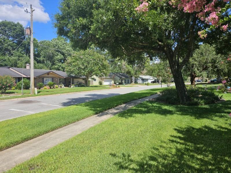 A residential street view featuring a sidewalk, green lawns, and several single-story houses — 120 LARKWOOD DRIVE, SANFORD, FL