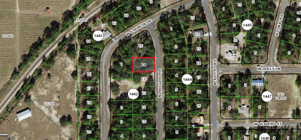 This is a satellite map showing a residential lot highlighted in red — 11126 N TRIGGER TERRACE, CITRUS SPRINGS, FL