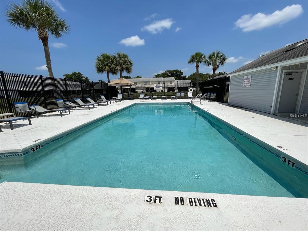 An outdoor rectangular swimming pool with lounge chairs and palm trees under a blue sky — 12715 RAEBURN WAY, TAMPA, FL