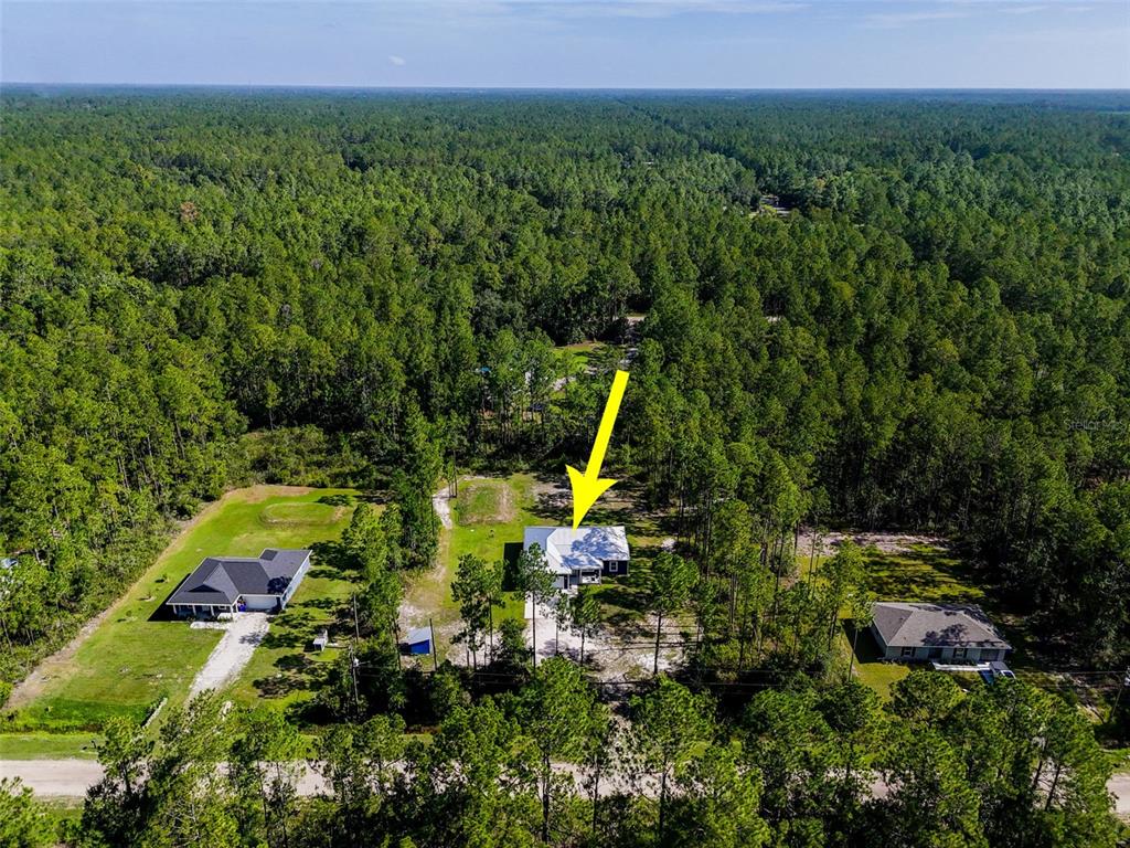 An aerial view shows a house with a metal roof surrounded by dense forest — 4220 PALATKA BOULEVARD, HASTINGS, FL