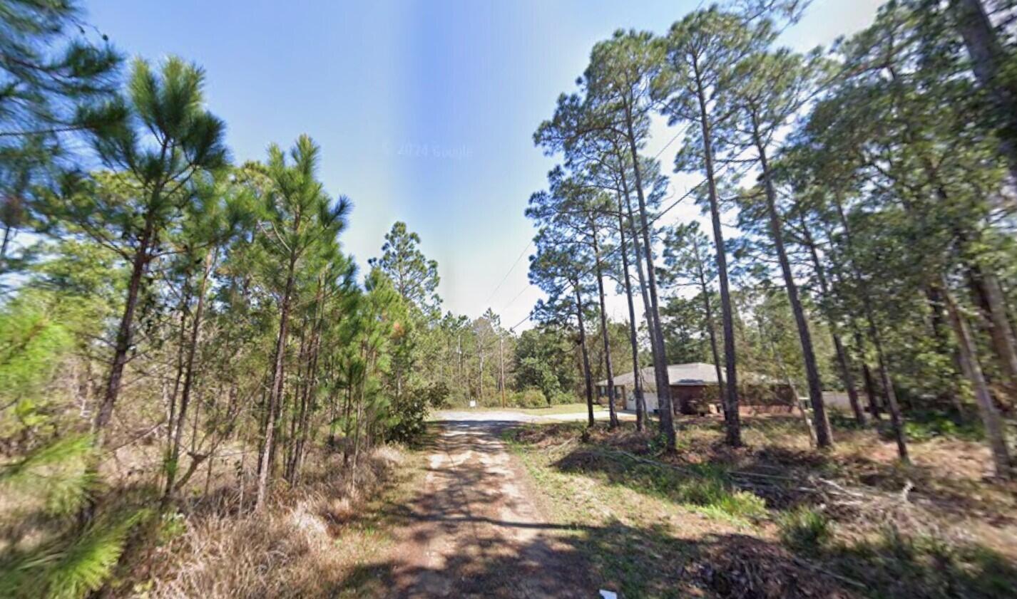 A dirt driveway leads through a wooded area toward a single-story brick house — 4395 Carol Court, FL 32563, FL