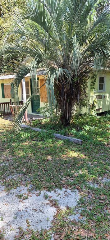 A yellow house with boarded-up windows stands behind a large palm tree — 1491 SE 189TH AVENUE, SILVER SPRINGS, FL
