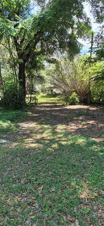 A dirt path leads through a wooded area with mature trees and overgrown vegetation — 1491 SE 189TH AVENUE, SILVER SPRINGS, FL
