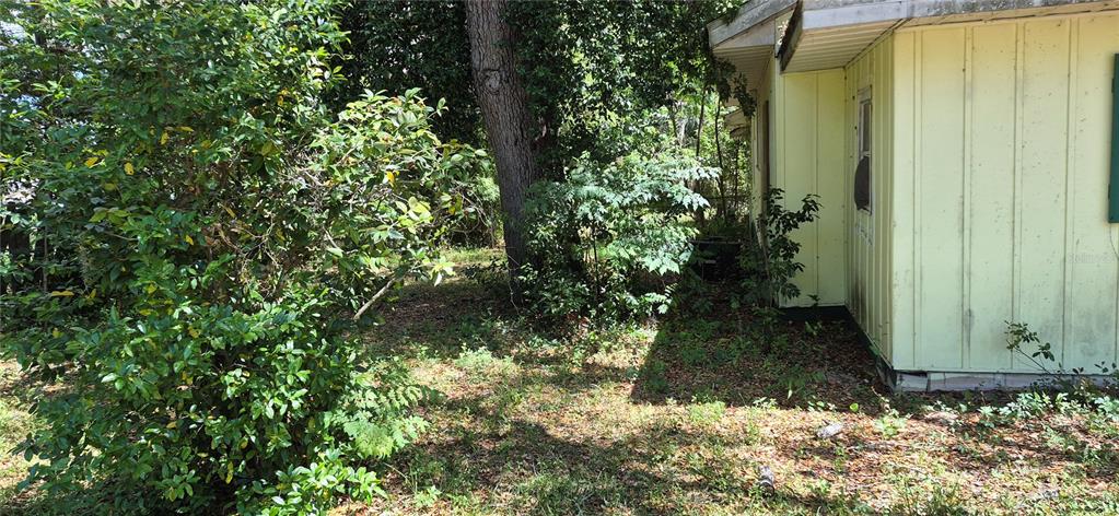 The exterior of a light yellow house is partially obscured by trees and overgrown bushes — 1491 SE 189TH AVENUE, SILVER SPRINGS, FL