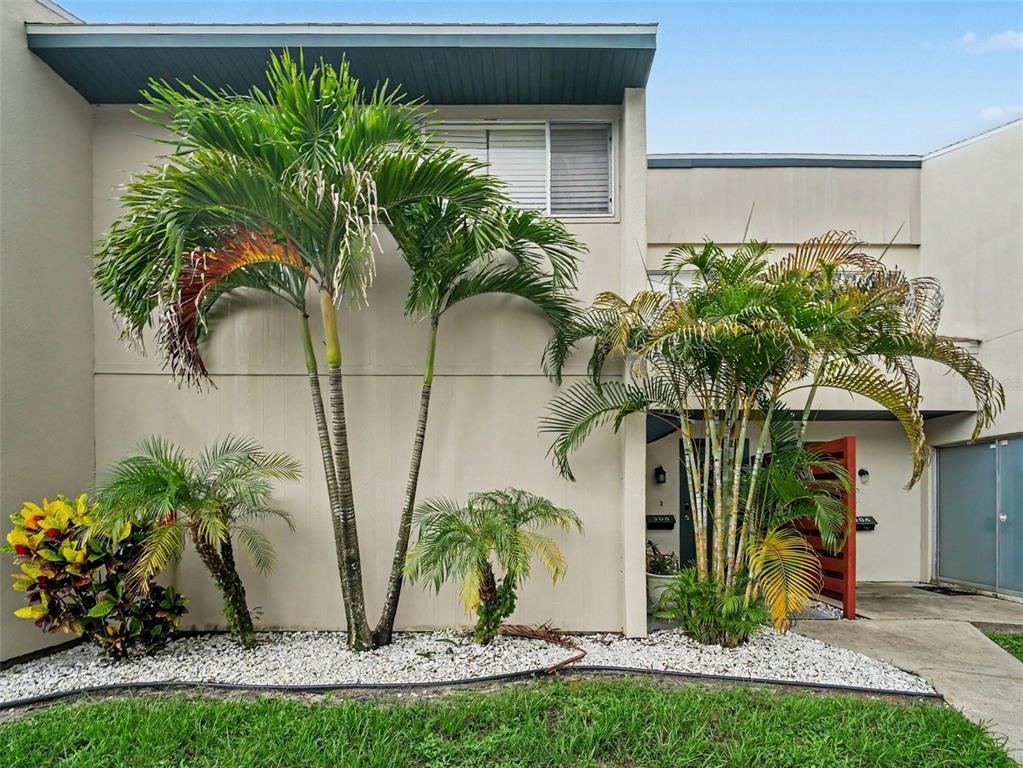 A two-story townhouse exterior features palm trees, a white rock garden, and a concrete walkway — 908 BYRON LANE UNIT 6, SARASOTA, FL