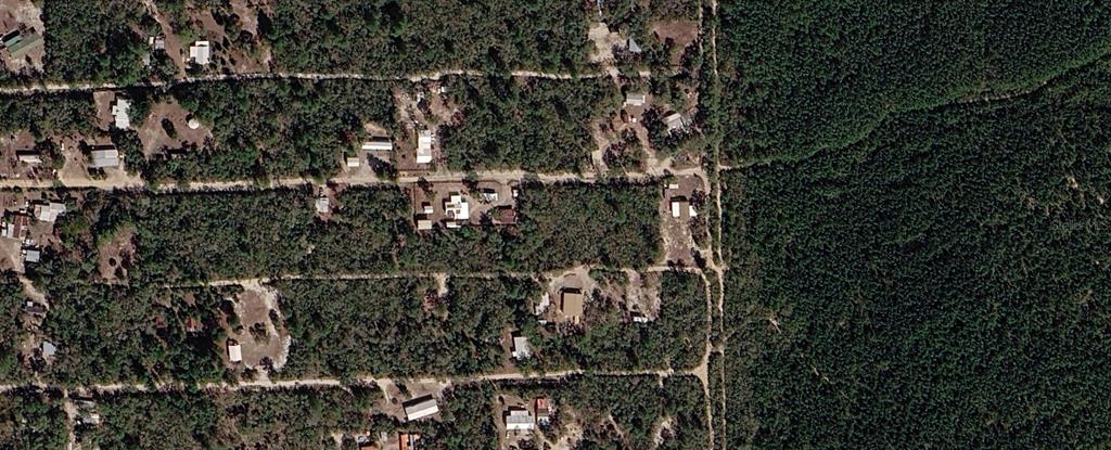 This aerial view shows a rural residential area with scattered houses and dense forest — XX NE 234TH LANE, FORT MC COY, FL