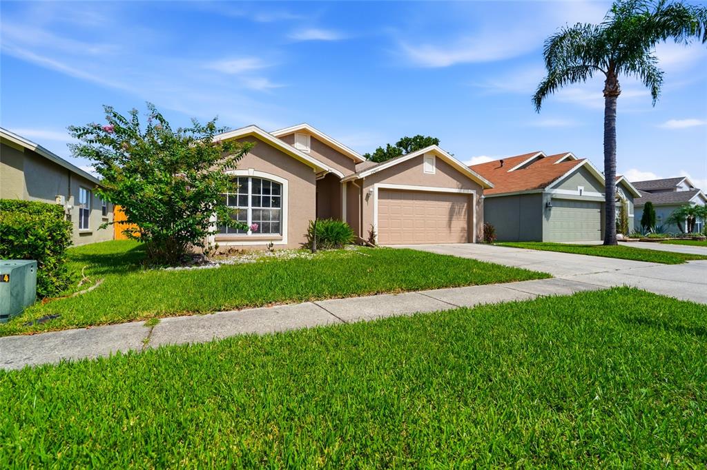A tan single-story house with a two-car garage and a palm tree in the front — 29417 CROSSLAND DRIVE, WESLEY CHAPEL, FL