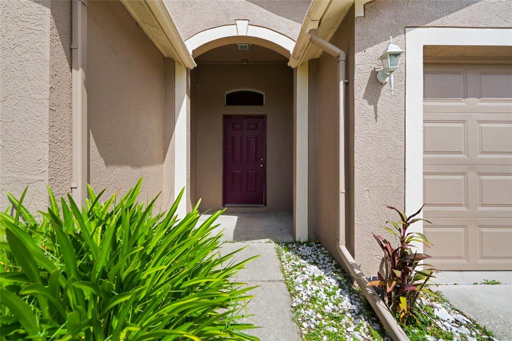 A concrete walkway leads to a recessed front entrance with a purple door and garage — 29417 CROSSLAND DRIVE, WESLEY CHAPEL, FL