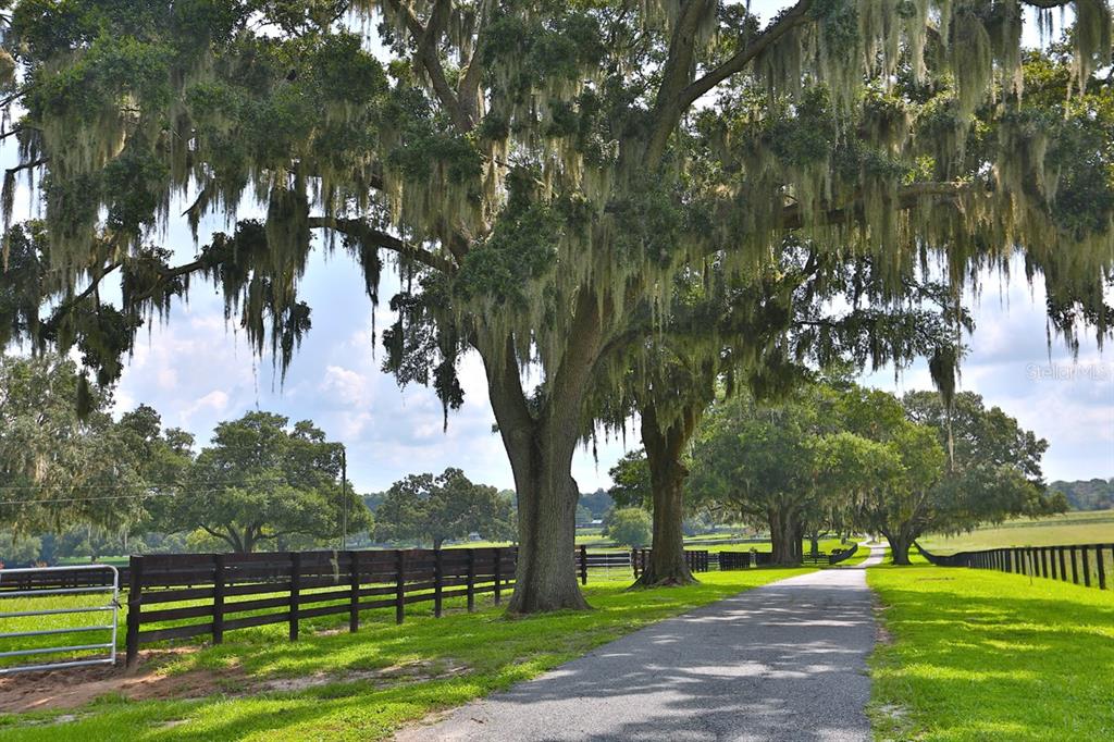 13450 NW GAINESVILLE ROAD, REDDICK, FL — photo 5 of 30