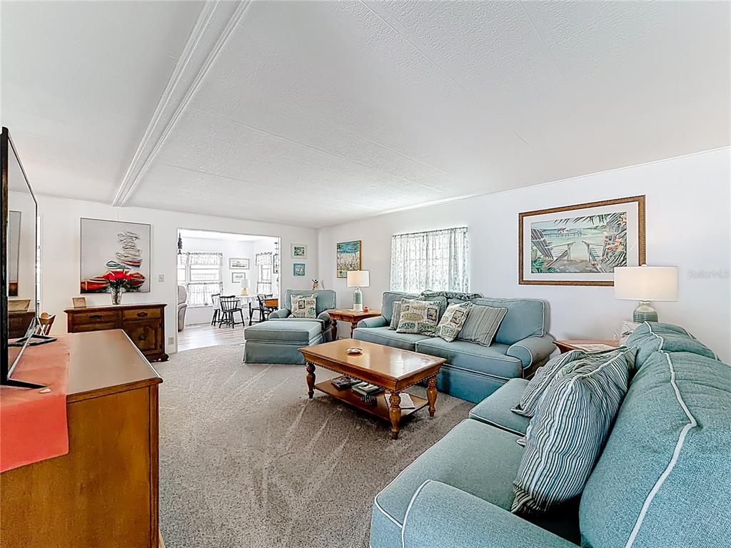 A living room features blue sofas, a wooden coffee table, and carpeted flooring — 665 54TH STREET S UNIT 133, GULFPORT, FL
