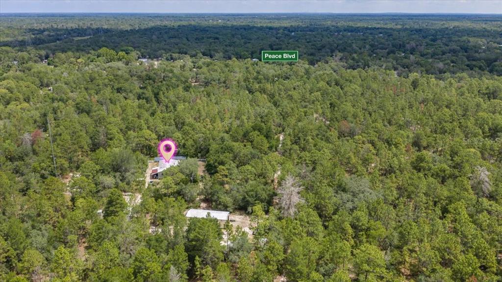 An aerial view shows a house and a detached structure surrounded by dense forest — 15624 PEACE BOULEVARD, SPRING HILL, FL