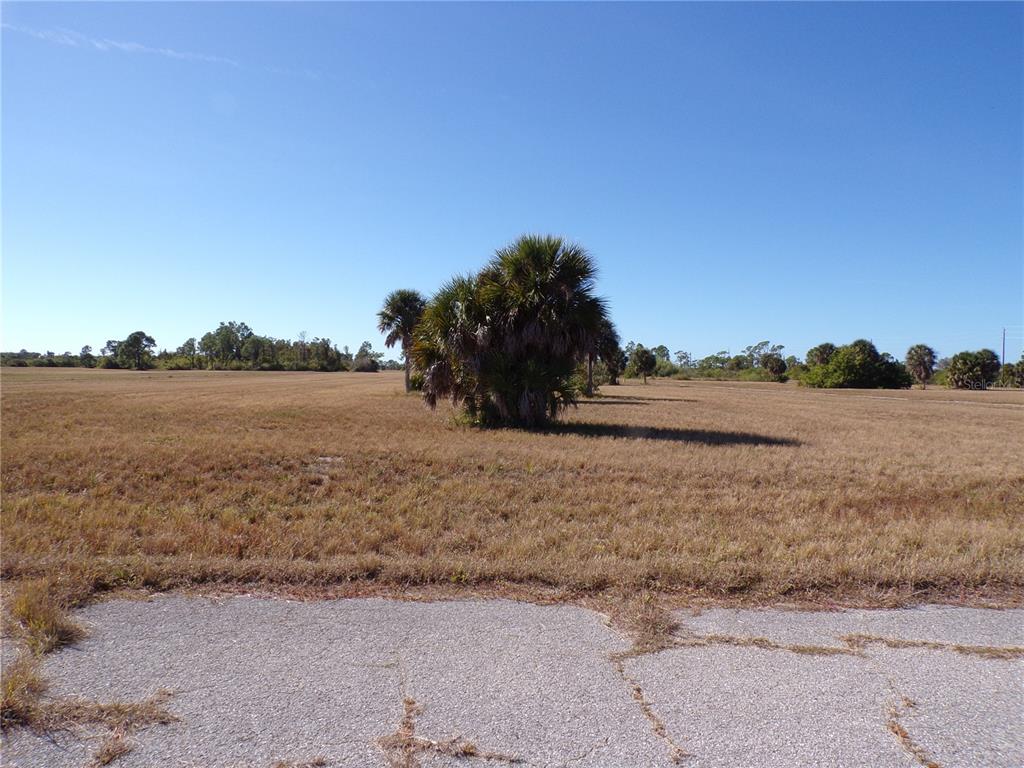 A large, flat, grassy field with scattered palm trees under a clear blue sky — 12074 SALITPA COURT, PLACIDA, FL