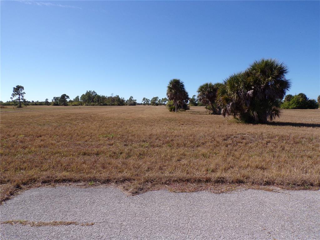 A flat, grassy vacant lot features scattered palm trees under a clear blue sky — 12074 SALITPA COURT, PLACIDA, FL