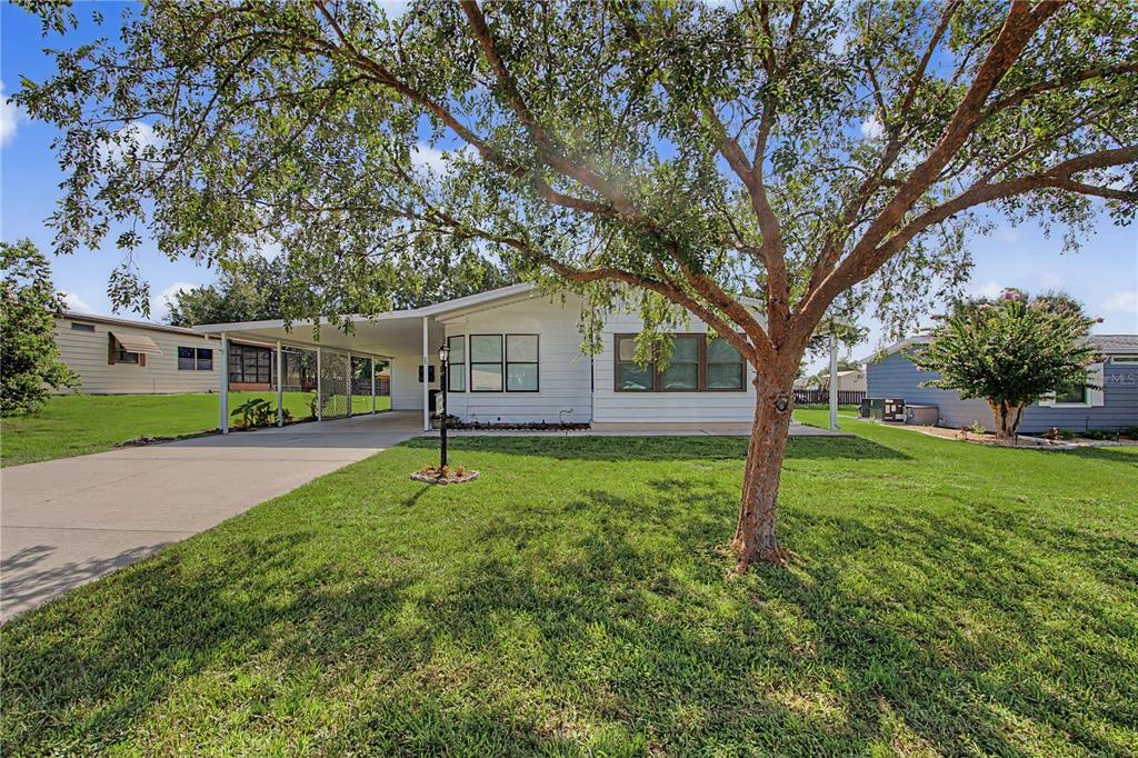 A white single-story house with a carport and a large tree in the front yard — 8145 SW 64TH AVENUE, OCALA, FL