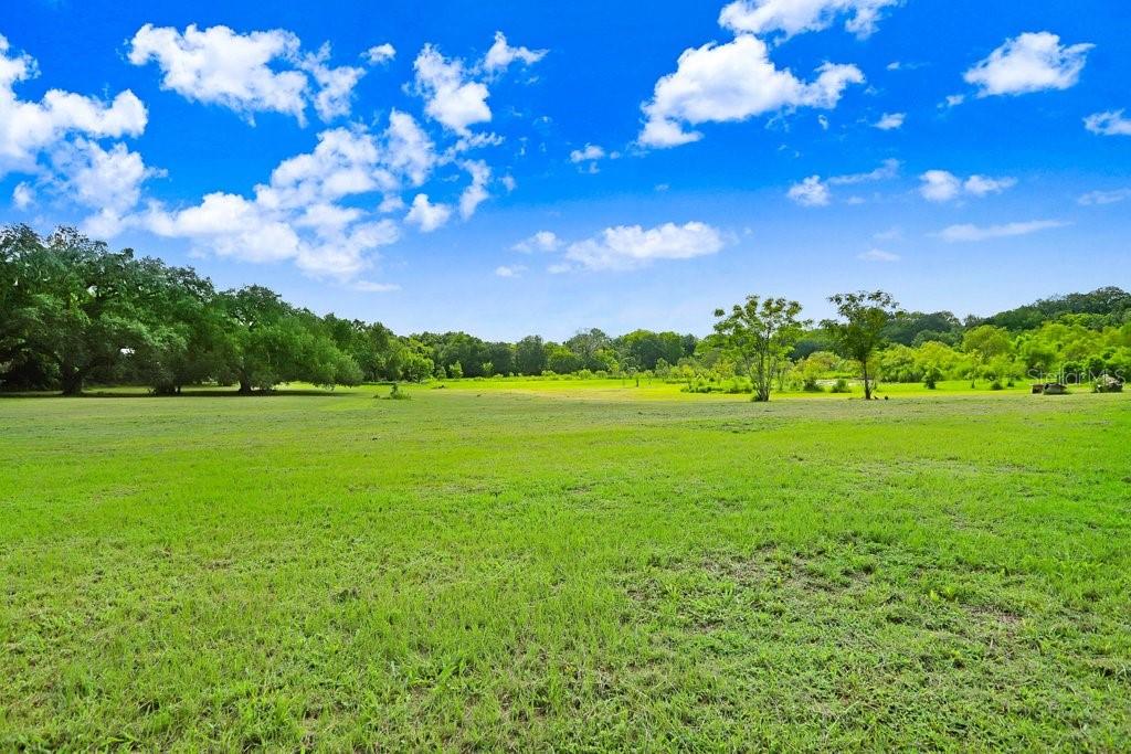 A wide, grassy field under a bright blue sky with scattered clouds and distant trees — 37352 ½ TRILBY ROAD, DADE CITY, FL