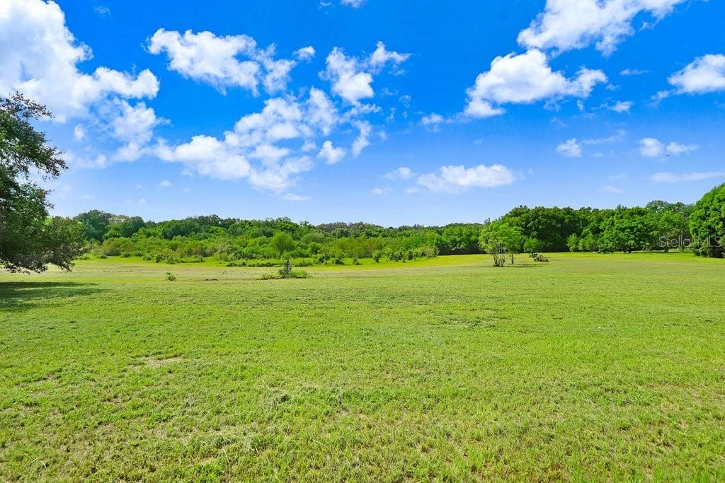 A wide, grassy field stretches toward a line of trees under a blue sky — 37352 ½ TRILBY ROAD, DADE CITY, FL