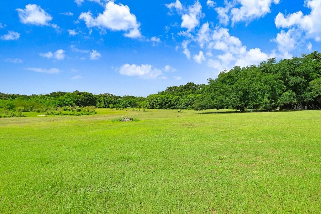 A large, grassy field is surrounded by trees under a bright blue sky — 37352 ½ TRILBY ROAD, DADE CITY, FL