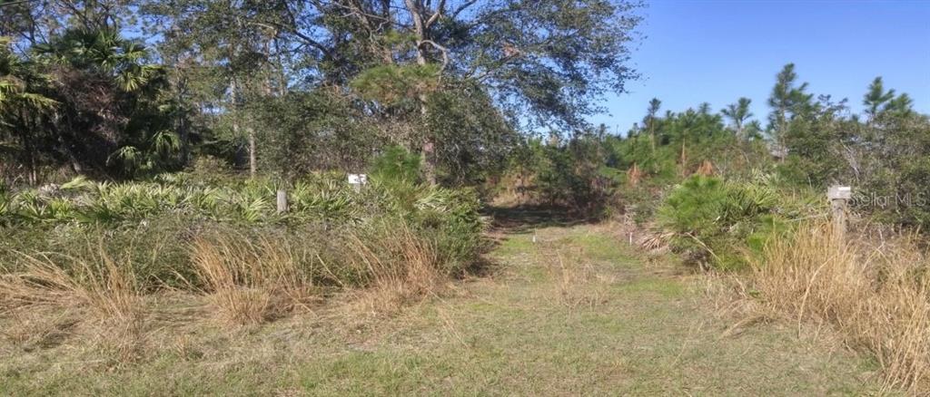 US 1 NORTH, BUNNELL, FL — photo 4 of 5