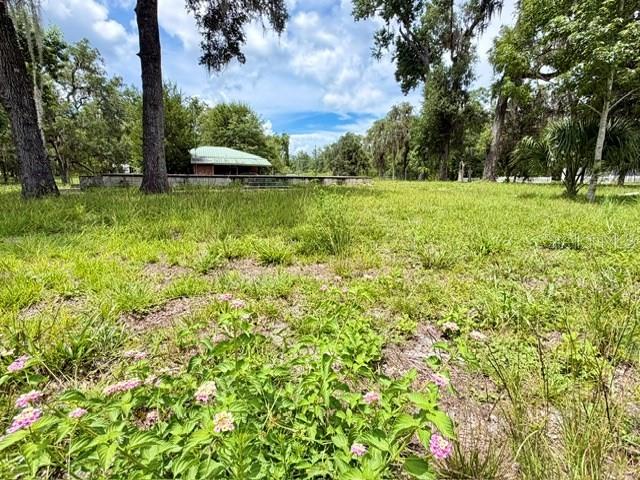 A grassy field with wildflowers in the foreground and a small building in the distance — 9749 FLORIDA STREET, FANNING SPRINGS, FL