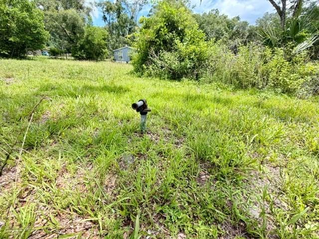 A metal pipe stands in the middle of a grassy, overgrown vacant lot — 9749 FLORIDA STREET, FANNING SPRINGS, FL