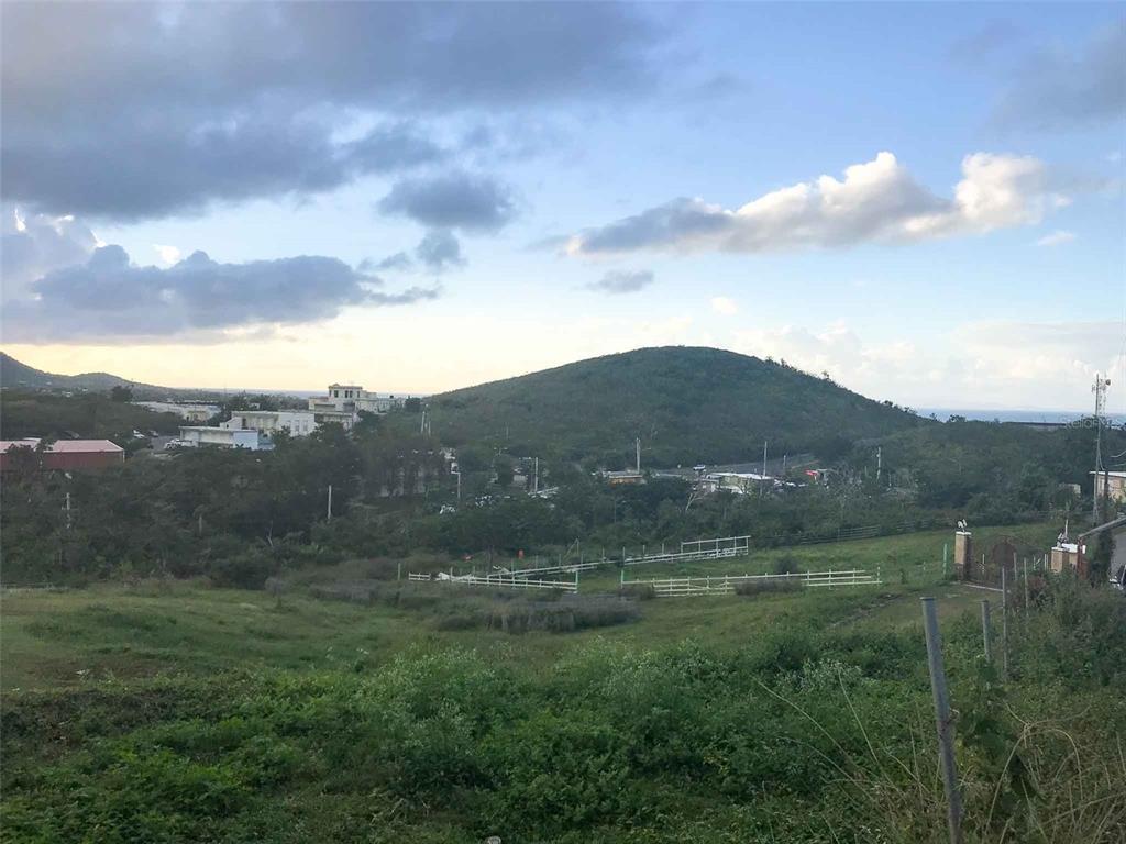 A grassy, fenced lot overlooks a valley with a large hill and distant buildings — 213 CALLE IGLESIAS, VIEQUES, PR