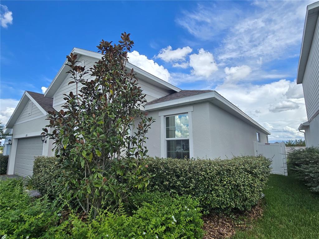 A single-story house exterior with a garage, a large magnolia tree, and a trimmed hedge — 1225 TUPELO TRAIL, HAINES CITY, FL