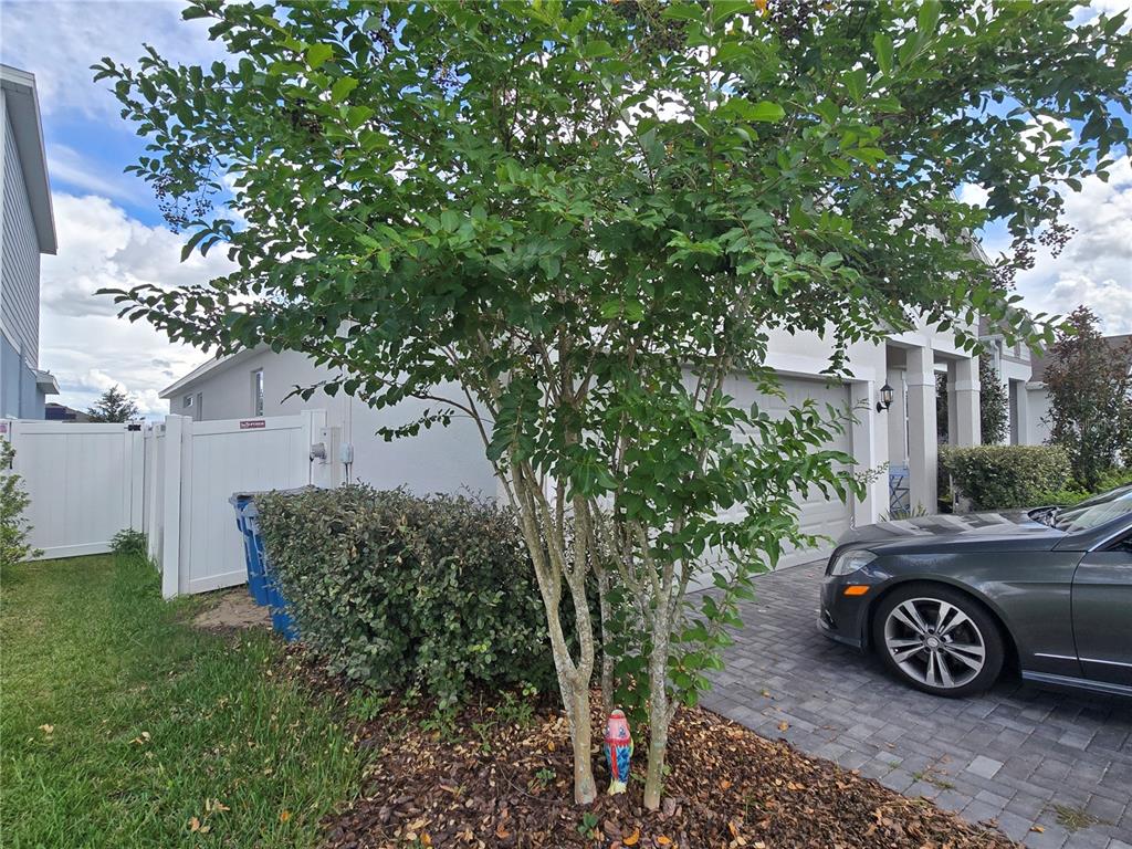 A multi-trunk tree stands in a mulched garden bed in front of a house exterior — 1225 TUPELO TRAIL, HAINES CITY, FL