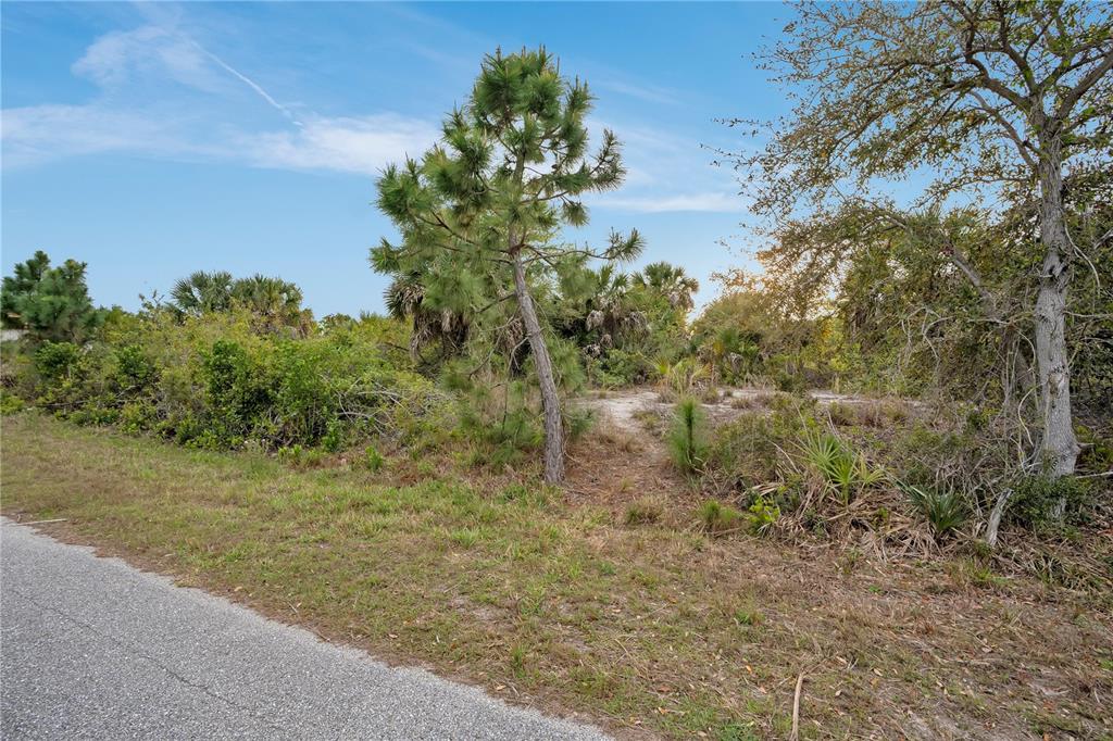 A paved road borders a vacant, wooded lot with sandy ground and various native trees — 14246 FORT WORTH CIRCLE, PORT CHARLOTTE, FL