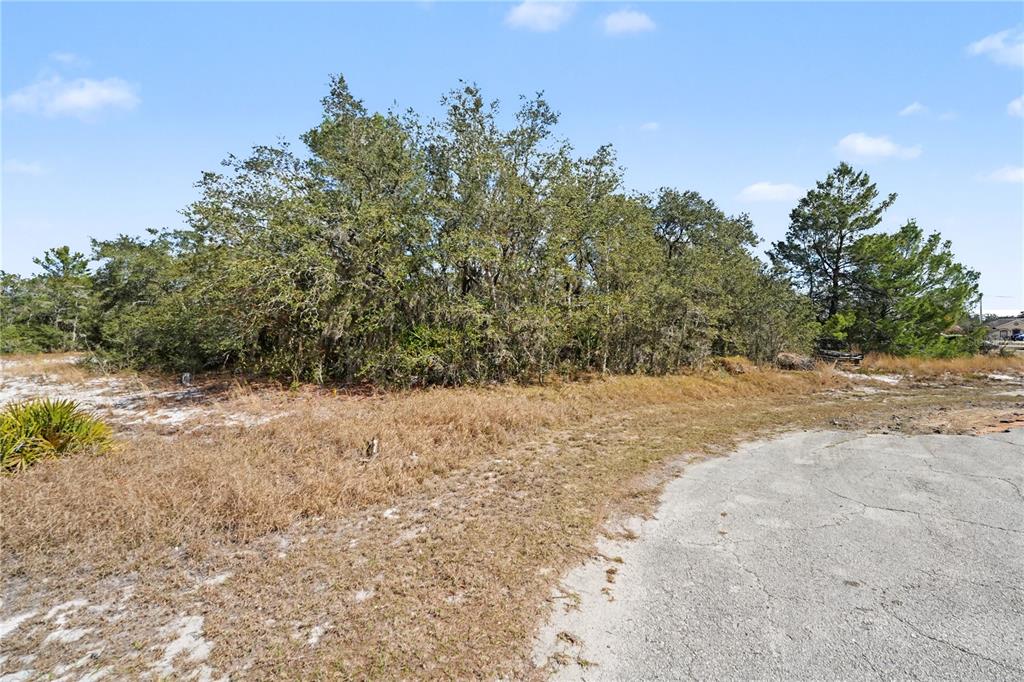 A paved road curves past a vacant lot with sandy ground and dense trees — 611 AMAZON COURT, POINCIANA, FL