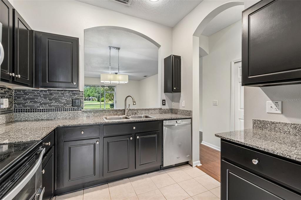 A kitchen features black cabinets, granite countertops, a stainless steel dishwasher, and a pass-through window — 18107 NASSAU POINT DR, TAMPA, FL
