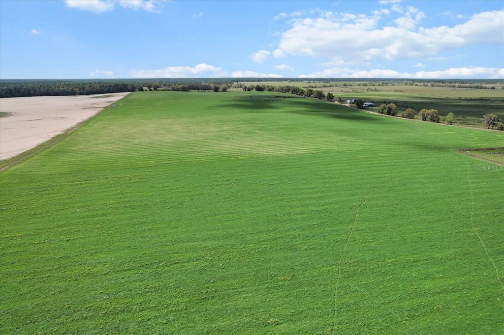 An aerial view shows a large, vibrant green field bordered by a sandy area — (190 AC-see addt'l PID's) NW 225TH AVENUE, DUNNELLON, FL