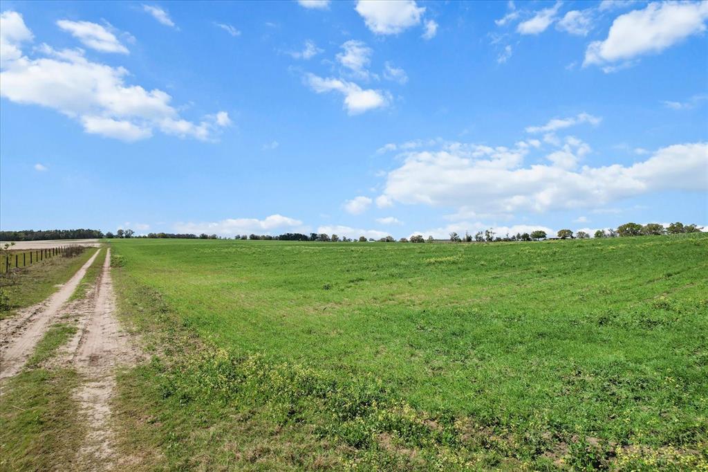 A dirt path runs alongside a large, open green field under a blue sky — (190 AC-see addt'l PID's) NW 225TH AVENUE, DUNNELLON, FL