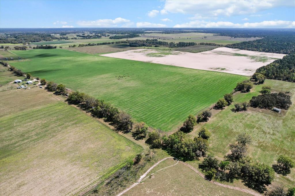 An aerial view shows a large green pasture with a sandy field and scattered trees — (190 AC-see addt'l PID's) NW 225TH AVENUE, DUNNELLON, FL