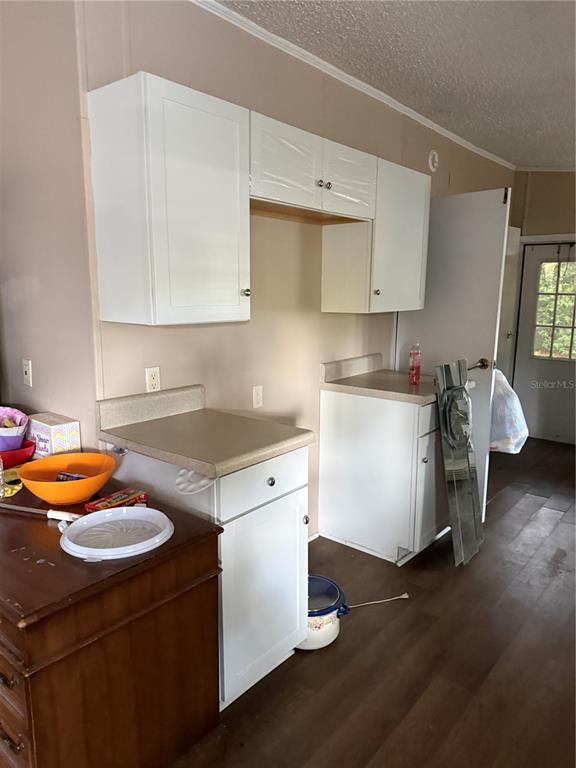 A kitchen area features white cabinets, tan countertops, and wood-look flooring — 14935 SE 47TH COURT, SUMMERFIELD, FL