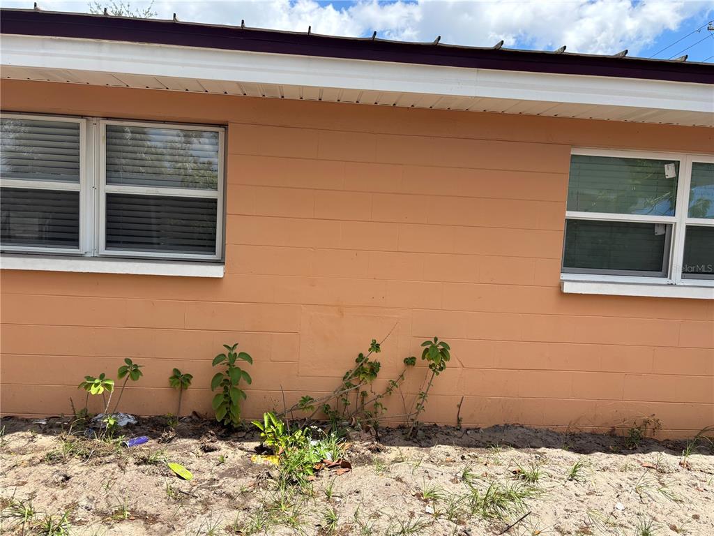 The exterior wall of a peach-colored concrete block house features two windows and sparse vegetation — 1320 LARSEN LN, TAMPA, FL