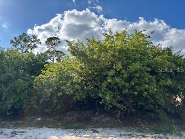A dense thicket of green trees and shrubs stands against a bright, cloudy blue sky — 4363 BOGGS STREET, PORT CHARLOTTE, FL