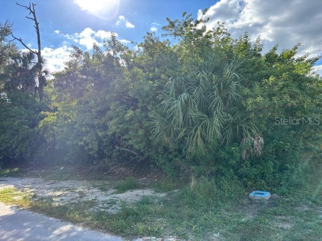 A vacant, overgrown lot with dense vegetation and a small utility box near the road — 4363 BOGGS STREET, PORT CHARLOTTE, FL