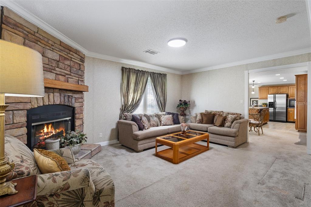 A living room features a stone fireplace, carpeted flooring, and an open view into a kitchen — 21390 NW 59TH AVENUE, MICANOPY, FL