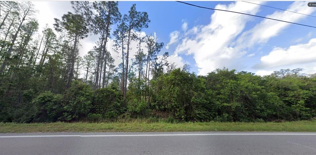 A view of a wooded, undeveloped lot from the edge of a paved road — DEEN STILL ROAD, POLK CITY, FL