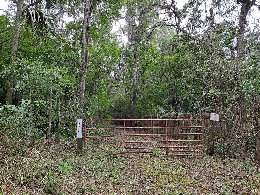 9550 NW 230 STREET E, MICANOPY, FL — photo 2 of 10