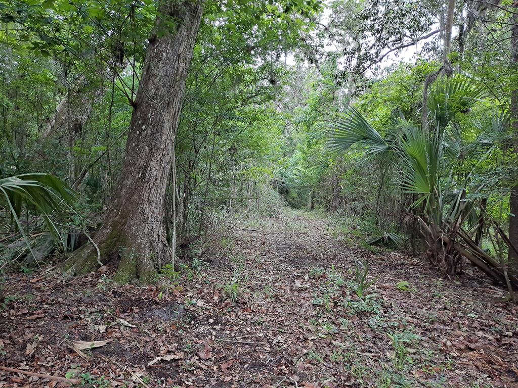 9550 NW 230 STREET E, MICANOPY, FL — photo 3 of 10