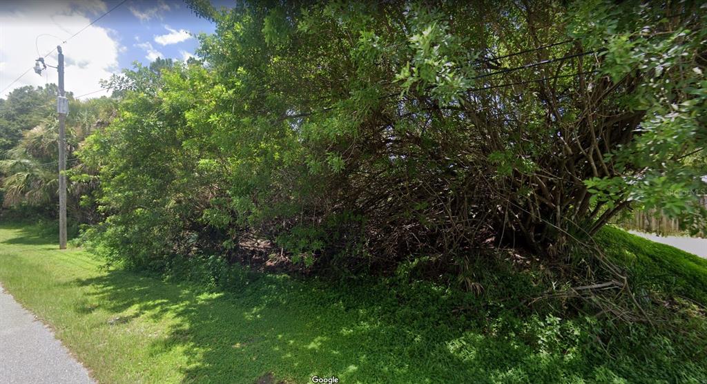 A dense thicket of trees and shrubs grows along a grassy roadside next to a pole — TONKIN DRIVE, NORTH PORT, FL