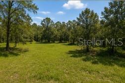 A grassy, open field surrounded by a dense forest of mature trees under a blue sky — 00 SW 47TH PLACE ROAD, OCALA, FL