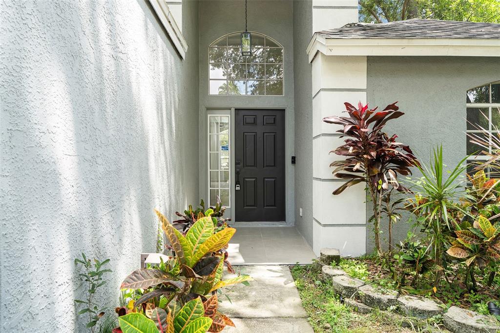 4603 HIDDEN SHADOW DRIVE, TAMPA, FL — photo 3 of 30