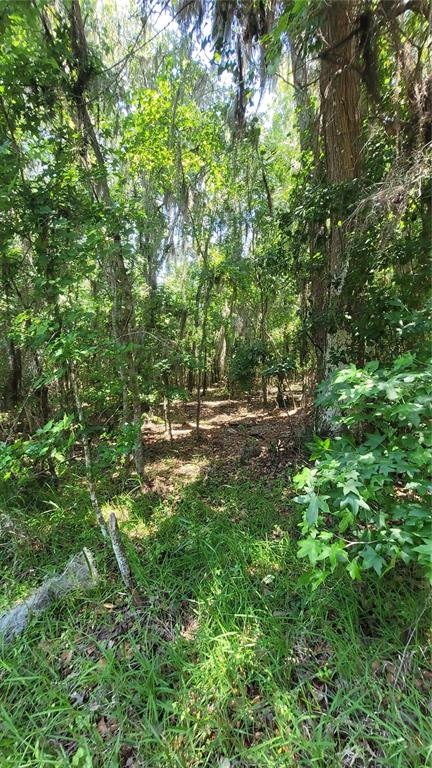 21779 NE 115TH AVENUE, EARLETON, FL — photo 2 of 18
