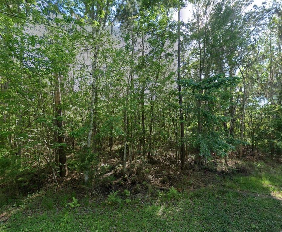 21779 NE 115TH AVENUE, EARLETON, FL — photo 4 of 18